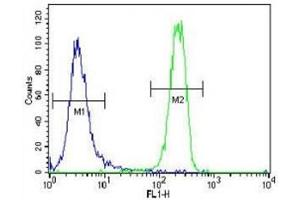 FGFR2 antibody flow cytometric analysis of NCI-H460 cells (right histogram) compared to a negative control (left histogram).