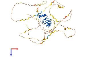 AlphaFold protein structure predicition of Mouse Recombinant Cbll1 Protein, UniprotID Q9JIY2