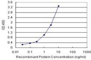 BIRC5 (Human) Matched Antibody Pair