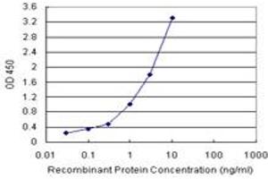 Sandwich ELISA detection sensitivity ranging from 0. (BIRC5 (Humain) Matched Antibody Pair)