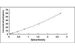 Insulin-Like Growth Factor Binding Protein 7 (IGFBP7) ELISA Kit