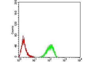 Flow cytometric analysis of Hela cells using TTF1 mouse mAb (green) and negative control (red).