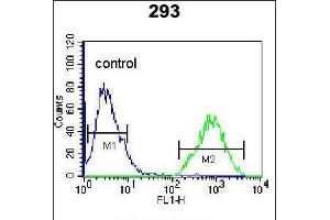 Flow cytometric analysis of 293 cells (right histogram) compared to a negative control cell (left histogram). (TFAP4 anticorps  (AA 125-154))