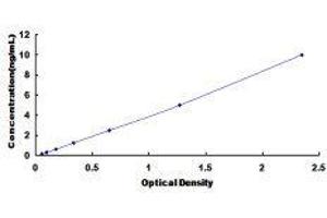 ELISA image for Guanine Nucleotide Binding Protein (G Protein), alpha Inhibiting Activity Polypeptide 3 (GNAI3) ELISA Kit (ABIN423611)
