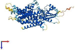 AlphaFold protein structure predicition of Mouse Recombinant Pigz Protein, UniprotID Q8BTP0