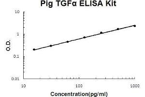 Pig TGF alpha PicoKine ELISA Kit standard curve (TGFA Kit ELISA)
