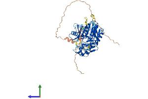 AlphaFold protein structure predicition of Mouse Recombinant Trmt5 Protein, UniprotID Q9D0C4