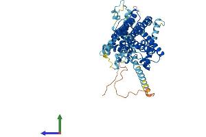 AlphaFold protein structure predicition of Human Recombinant SOAT1 Protein, UniprotID P35610