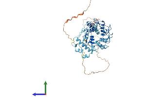 AlphaFold protein structure predicition of Human Recombinant ZNF157 Protein, UniprotID P51786