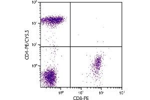Human peripheral blood lymphocytes were stained with Mouse Anti-Human CD4-PE/CY5. (CD4 anticorps  (SPRD))