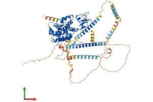 AlphaFold protein structure predicition of Mouse Recombinant Dtnb Protein, UniprotID O70585