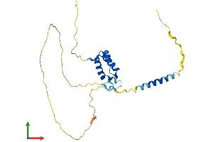 AlphaFold protein structure predicition of Mouse Recombinant Tgif2 Protein, UniprotID Q8C0Y1