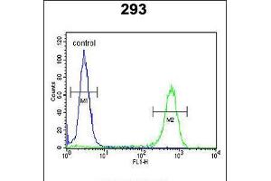 Flow cytometric analysis of 293 cells (right histogram) compared to a negative control cell (left histogram). (JHDM1D anticorps  (AA 290-316))