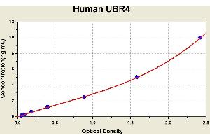 Diagramm of the ELISA kit to detect Human UBR4with the optical density on the x-axis and the concentration on the y-axis. (UBR4 Kit ELISA)