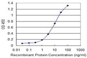 Detection limit for recombinant GST tagged POLR3B is 0.