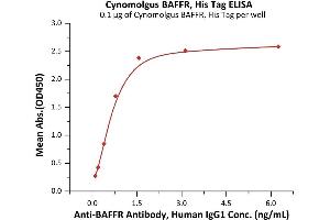 Immobilized Cynomolgus BAFFR, His Tag (ABIN6972951) at 1 μg/mL (100 μL/well) can bind A Antibody, Human IgG1 with a linear range of 0.