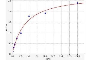 Typical standard curve (MX1 Kit ELISA)
