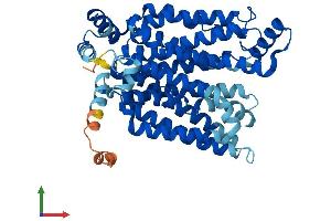AlphaFold protein structure predicition of Human Recombinant SLC2A1 Protein, UniprotID P11166