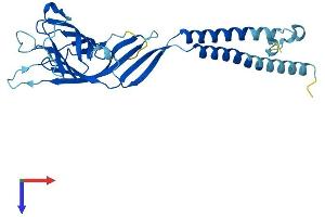 AlphaFold protein structure predicition of Human Recombinant ERGIC1 Protein, UniprotID Q969X5
