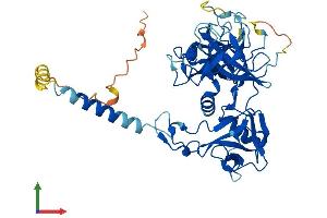 AlphaFold protein structure predicition of Human Recombinant TMPRSS3 Protein, UniprotID P57727