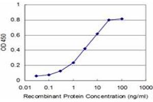 Detection limit for recombinant GST tagged SCAMP3 is approximately 0.