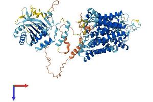 AlphaFold protein structure predicition of Mouse Recombinant Slc4a1 Protein, UniprotID P04919