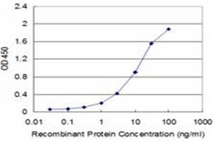 Detection limit for recombinant GST tagged CRYAB is approximately 0.