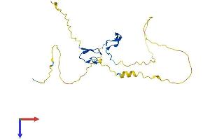 AlphaFold protein structure predicition of Mouse Recombinant Rybp Protein, UniprotID Q8CCI5