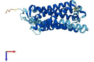 AlphaFold protein structure predicition of Human Recombinant OR4D2 Protein, UniprotID P58180