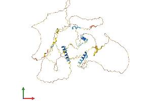 AlphaFold protein structure predicition of Mouse Recombinant Sarg Protein, UniprotID Q8BI29