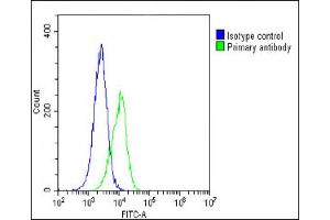 Overlay histogram showing A549 cells stained with (ABIN6243941 and ABIN6578694)(green line).