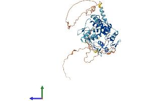 AlphaFold protein structure predicition of Human Recombinant ZNF397 Protein, UniprotID Q8NF99