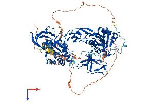 AlphaFold protein structure predicition of Mouse Recombinant Gphn Protein, UniprotID Q8BUV3