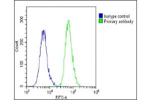 Overlay histogram showing A549 cells stained with (ABIN6243511 and ABIN6578850)(green line). (BCL2L10 anticorps  (AA 89-123))