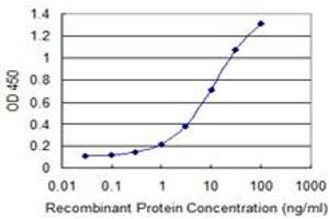 Detection limit for recombinant GST tagged GNL3 is 0. (Nucleostemin anticorps  (AA 328-427))