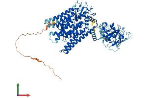 AlphaFold protein structure predicition of Human Recombinant POMT2 Protein, UniprotID Q9UKY4
