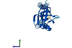 AlphaFold protein structure predicition of Mouse Recombinant Sec11a Protein, UniprotID Q9R0P6
