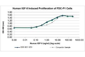 SDS-PAGE of Human Insulin-like Growth Factor II Recombinant Protein Bioactivity of Human Insulin-like Growth Factor II Recombinant Protein.