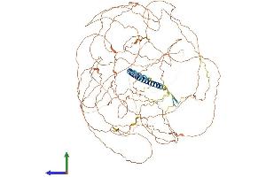 AlphaFold protein structure predicition of Mouse Recombinant Tsc22d1 Protein, UniprotID P62500