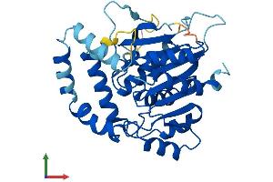 AlphaFold protein structure predicition of Human Recombinant LDAH Protein, UniprotID Q9H6V9