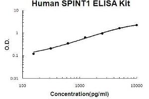 Human SPINT1/HAI-1 PicoKine ELISA Kit standard curve (SPINT1 Kit ELISA)