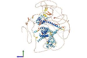 AlphaFold protein structure predicition of Mouse Recombinant Nfrkb Protein, UniprotID Q6PIJ4