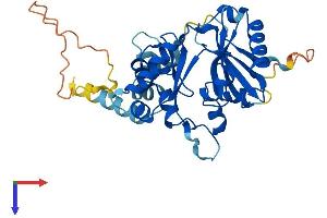 AlphaFold protein structure predicition of Mouse Recombinant Cdc123 Protein, UniprotID Q8CII2