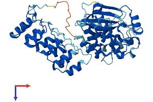AlphaFold protein structure predicition of Human Recombinant ILK Protein, UniprotID Q13418