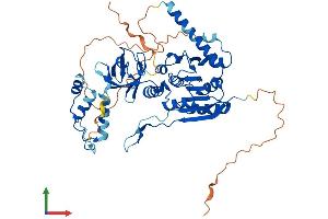 AlphaFold protein structure predicition of Human Recombinant TRMT6 Protein, UniprotID Q9UJA5