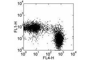 Image no. 1 for anti-Sialophorin (SPN) antibody (FITC) (ABIN473770)