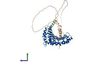 AlphaFold protein structure predicition of Human Recombinant ARMCX1 Protein, UniprotID Q9P291