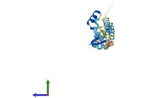 AlphaFold protein structure predicition of Human Recombinant CGGBP1 Protein, UniprotID Q9UFW8
