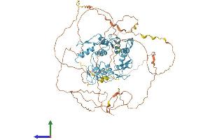 AlphaFold protein structure predicition of Human Recombinant CTCF Protein, UniprotID P49711