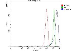 anti-Nedd4 Family Interacting Protein 1 (NDFIP1) (AA 10-221) antibody